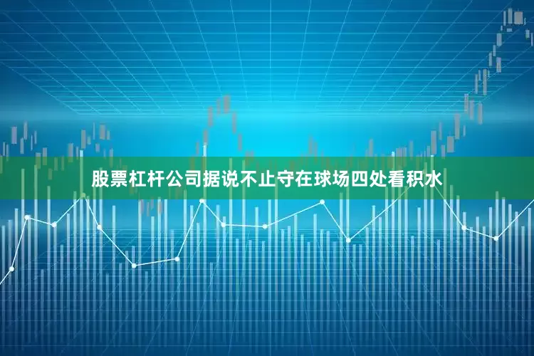 股票杠杆公司据说不止守在球场四处看积水