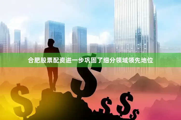 合肥股票配资进一步巩固了细分领域领先地位